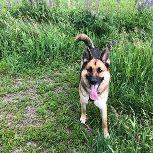 Meet your Posher, Shennah